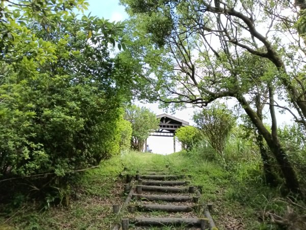 坪林區司公髻尾山+虎寮潭吊橋+粗石斛吊橋+大舌湖步道+漁光派出所2794293