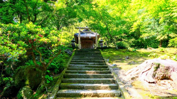 南九州－仙巖園,城山公園3063227