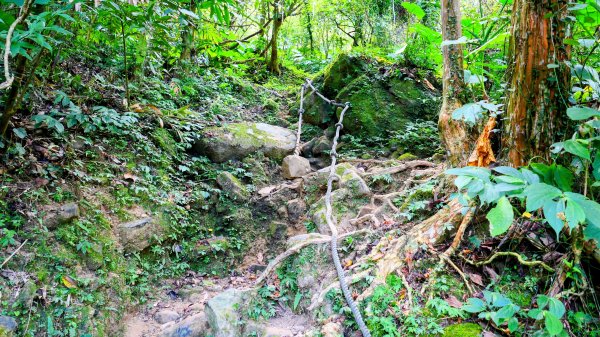 筆架山越嶺2918227