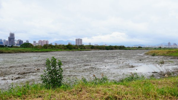 華江自然公園,華中河濱公園2651930