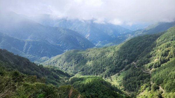 玉山前峰，關子嶺大凍山，宜蘭拳頭姆自然步道2313385