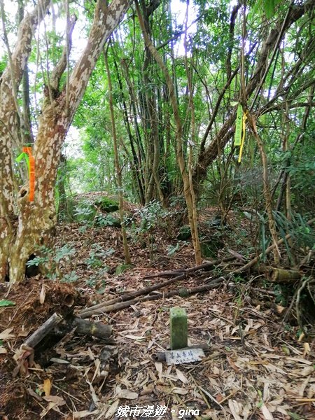 【台南。南化】開車比爬山還辛苦。小百岳集起來。編號66小百岳~西阿里關山1473547