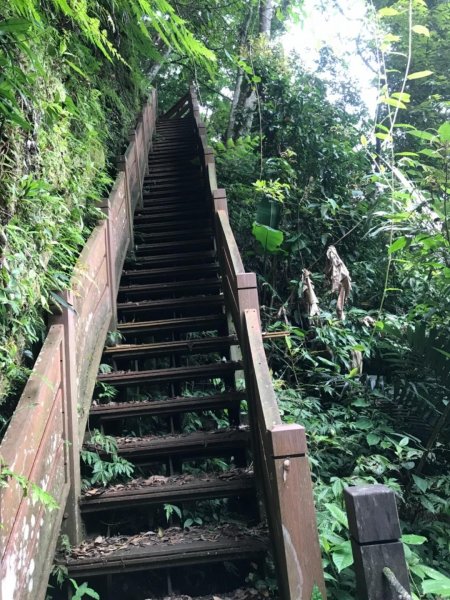 新竹五指山599739