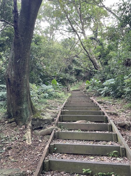 【大棟山系】405高地段2844915