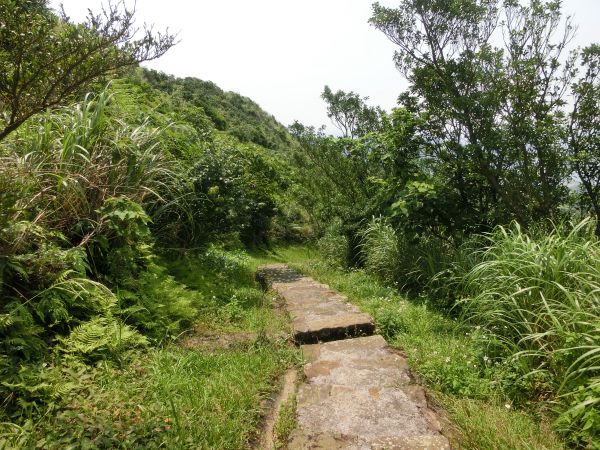 貂山古道．百二崁古道．樹梅坪古道134026