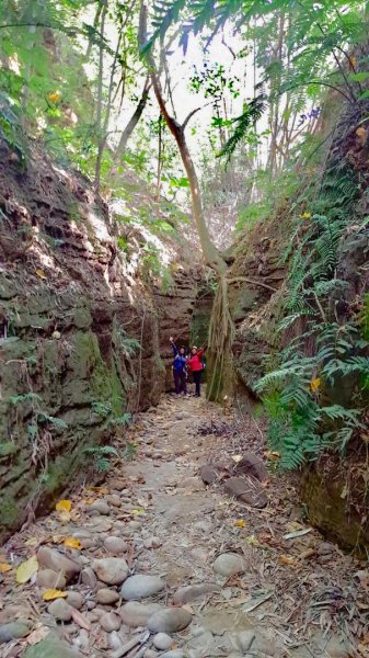 彰化一線天2657589