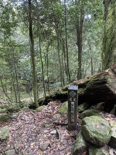 奮起湖大凍山3060166