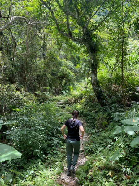 台東｜成功 麻荖漏步道2160447