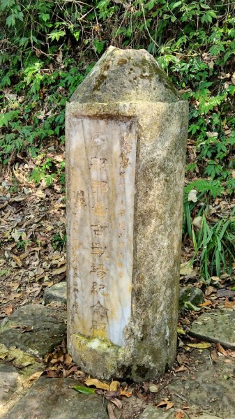 苗栗馬那邦山，飛鳳山大板根，石壁潭山，觀日坪古道，台中三汀山，鐵砧山，后豐鐵馬道，彰化八卦山天空步道1908323