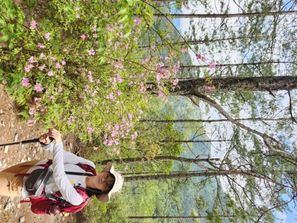 【百岳】志佳陽大山2779729