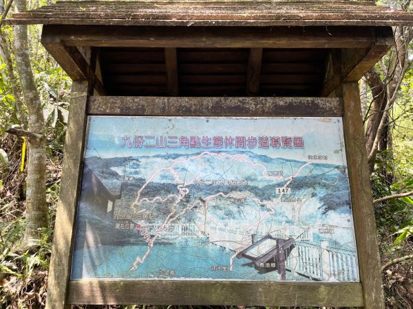 20250822_九份二山（南投小百岳）2941185