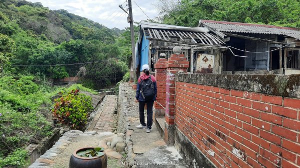 《彰化》古意人文｜員林18觀音O繞大峰巷挑水古道202504122759448