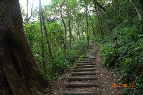 基隆 頂寮山、龍門山、五分山、頂子寮山2265978
