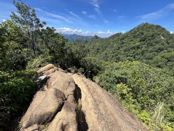 [微笑山線_第九段] 2025_0914 二格山系_天王峰2889551