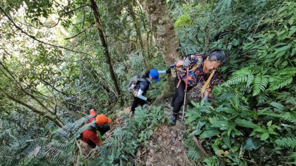 烏桶縱走(烏來山→大桶山)忠治出全紀錄2915217