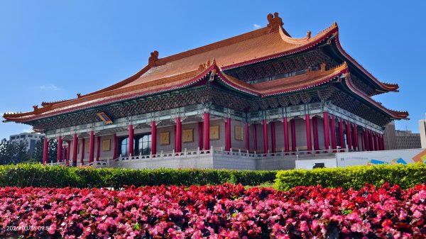 #自由廣場 #大安森林公園 #繡球花 #杜鵑 3/163016268