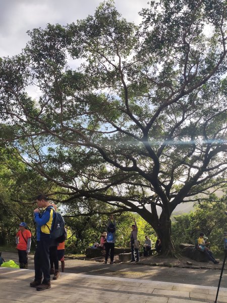 微笑山線：【大棟山系】405高地段2942525