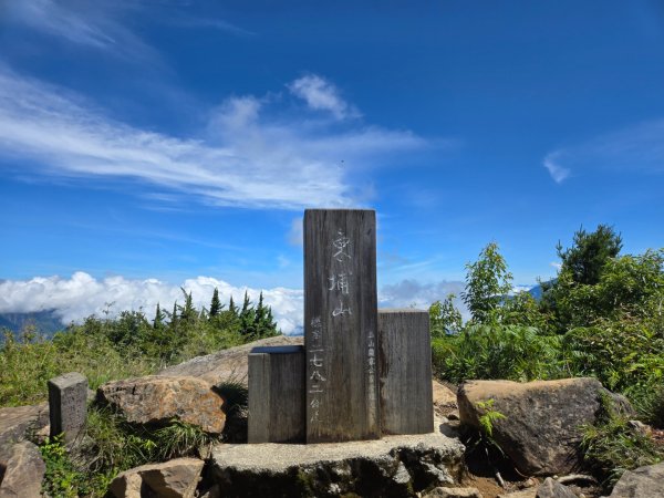 東埔山封面