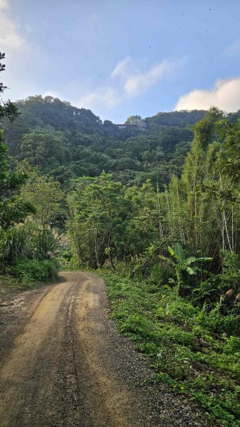20251123大湖坑步道-詹公厝2942935