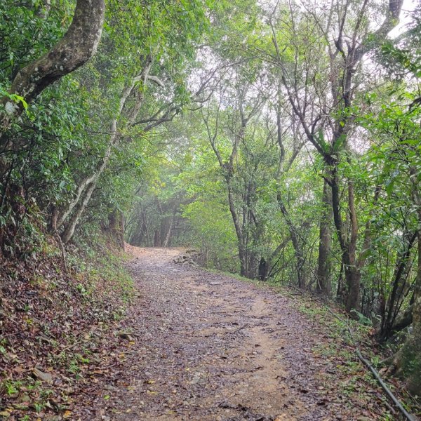 礁溪跑馬古道2518997