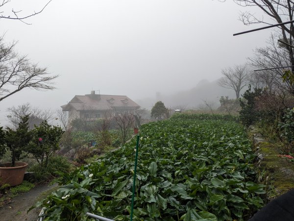 2023-12-23 臺北大縱走第二段2793130