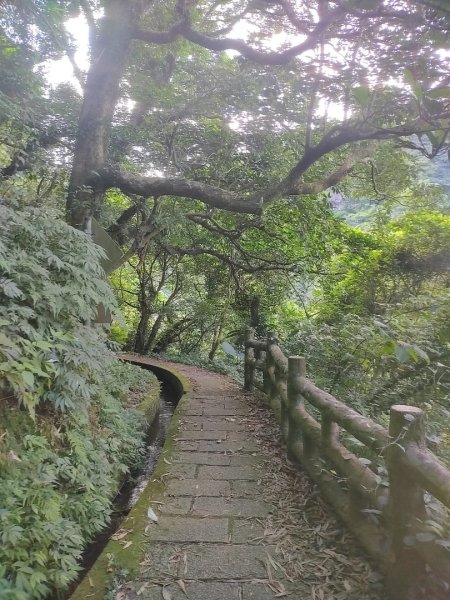 1130707青山瀑布步道3098012