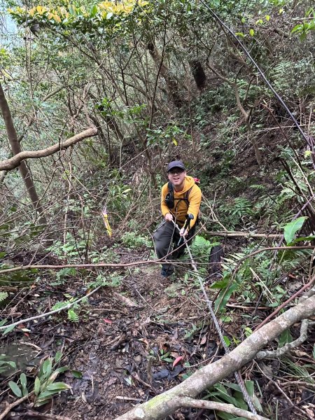 20241222冷飯坑山-楓子林山-烏月山群峰-昇高坑山-竹麻寮山2674719