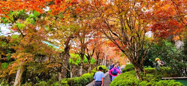 太平山森林遊樂區，檜木原始林步道，九寮溪自然步道，戈霸瀑布，開眼崙登山步道1936696