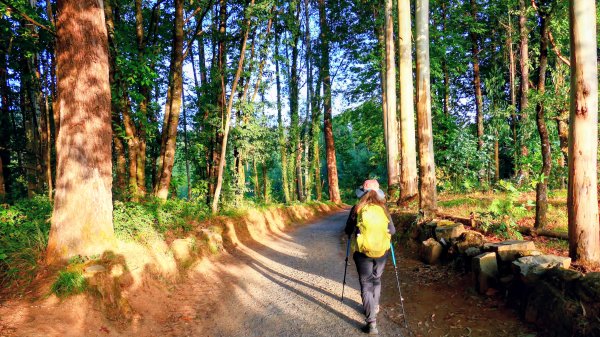 西班牙朝聖法國之路115KM, Day53125937