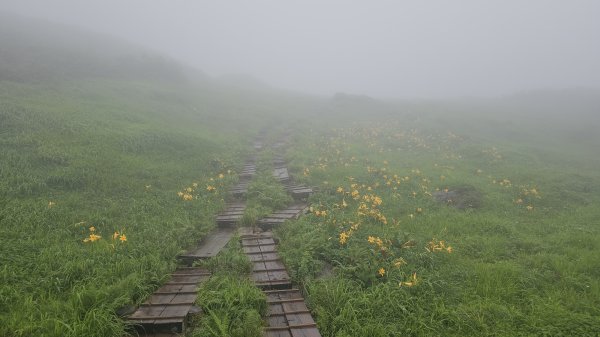 240811-山形信仰之山-月山（がっさん）。美美兔特選日本百名山之一。2603779