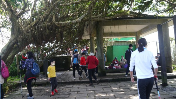 觀音山登山健行趣(小百岳05號)1632365