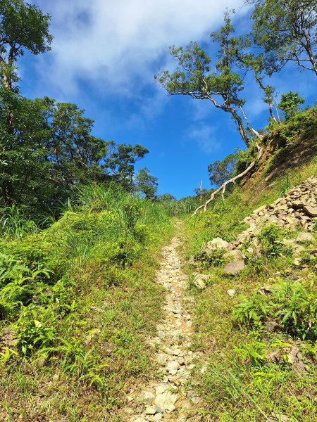 礁溪烘爐地山202509282900320