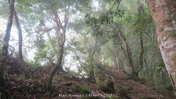 《雲林》望好望角｜石壁山嘉南雲峰步道(中側登山口）202506072805511