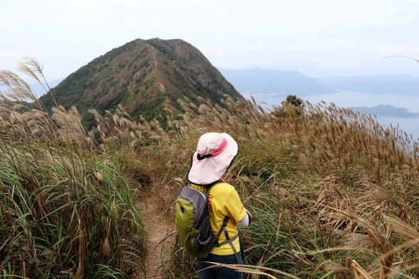HK - 馬鞍山 (三角石河)1270471