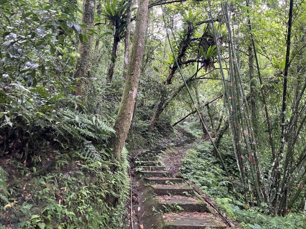 [微笑山線_第十一段] 2025_0803 五分山系_平溪小黃山段2851047