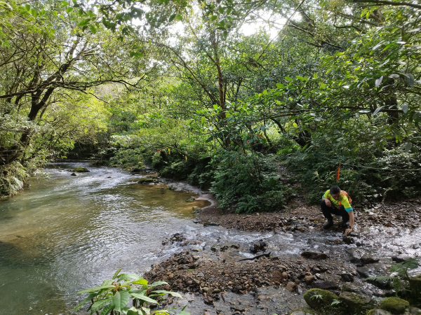 [新北雙溪][十一]坪溪山北峰、坪溪山、打鐵寮山、麻竹坑山、梅竹蹊山