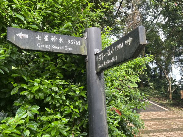 [皮皮獅探險隊-01/10] 2025_0706 六寮古道2830727