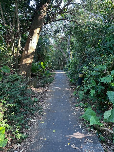 和美山螢火蟲段2873332