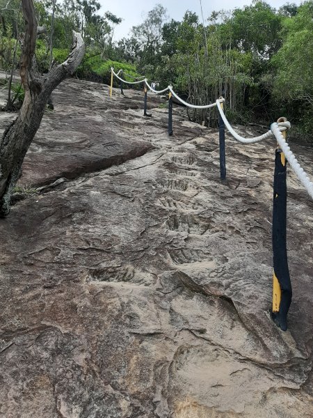 台北－臺灣百大必訪步道 | 象山、金面山1083487