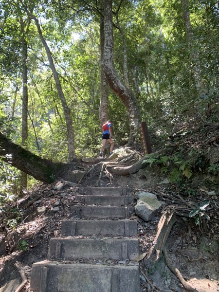 20251018台中八仙山2921434