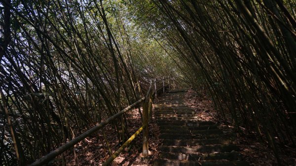 大湖尖山 鳳凰瀑布 紫雲寺1288600