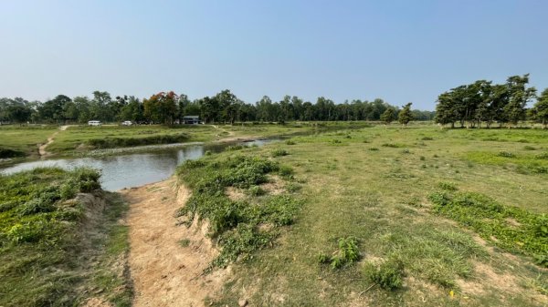 尼泊爾奇旺國家公園4天三夜2788994