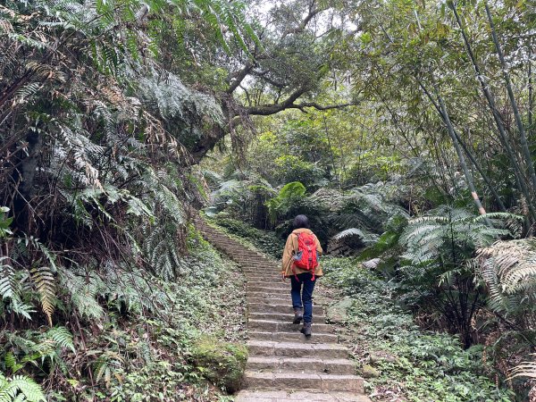 臺北大縱走6：九五峰、環繞101走不停1306854