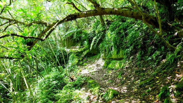 畝畝山。又上說2768160