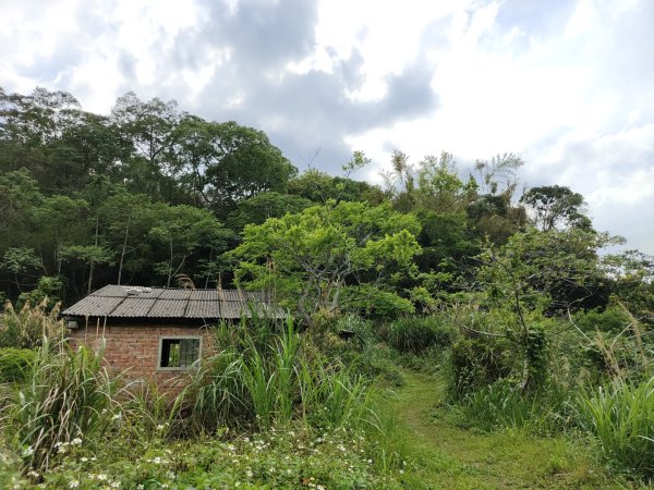 2024.03.24 飛鳳古道2908473