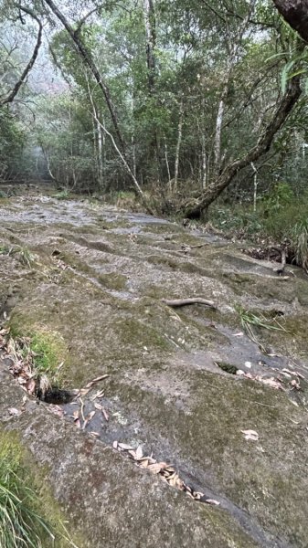 南庄大湳石壁忘雨巖掩星巖2434851