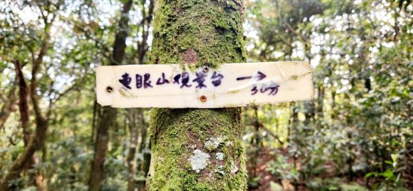 【中級山縱走】志繼山，東眼山，拉卡山，卡外山，東滿步道2742581