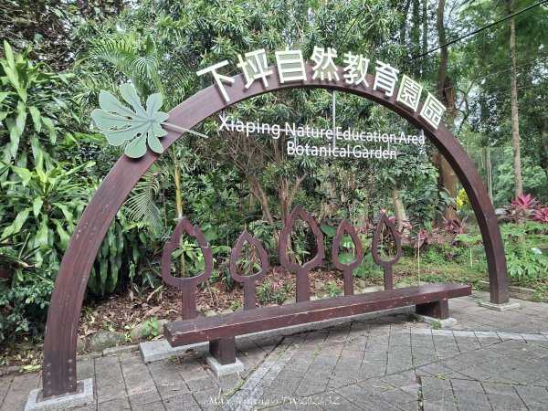 《南投》平地森林｜竹山下坪自然教育園區及下坪吊橋步道202606203077710