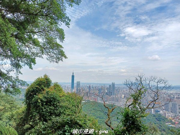 【台北信義】搭捷運爬山趣。 小百岳集起來。編號13小百岳-南港山步道1755545