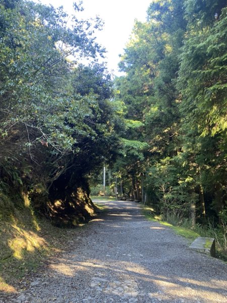 觀霧森林遊樂區（榛山及檜山巨木步道）3060128